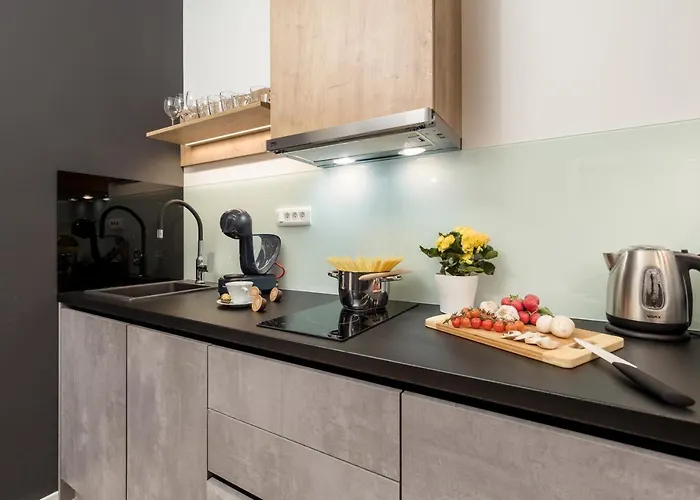 Apartment Saint Vitus With Balcony Rijeka